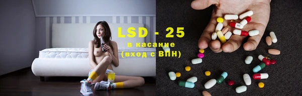 круглые Аркадак