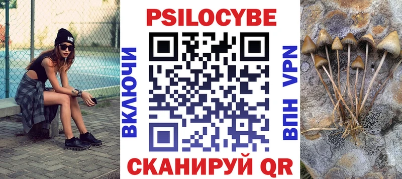 магазин продажи   Красный Кут  Галлюциногенные грибы Psilocybine cubensis 